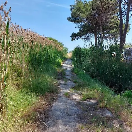 La Dimora In Riva Al Mare 4* Βιέστε